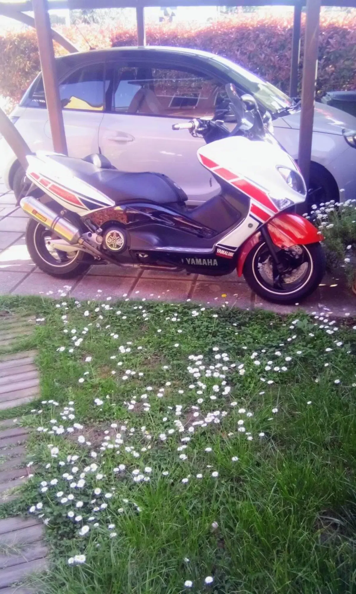 Yamaha T-Max 500 (2001 - 03) (3)