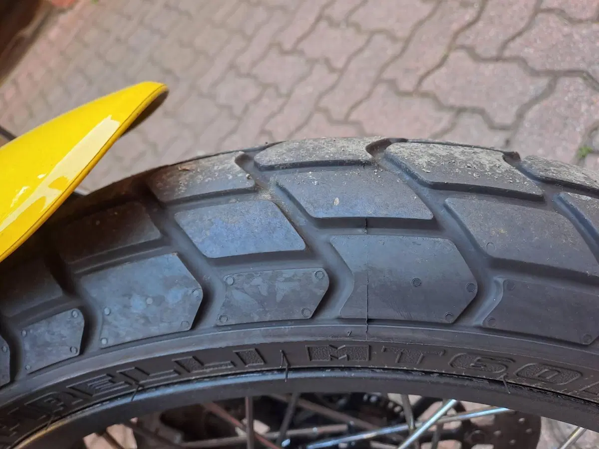 Ducati Scrambler 1100 Special (2018 - 20) (5)