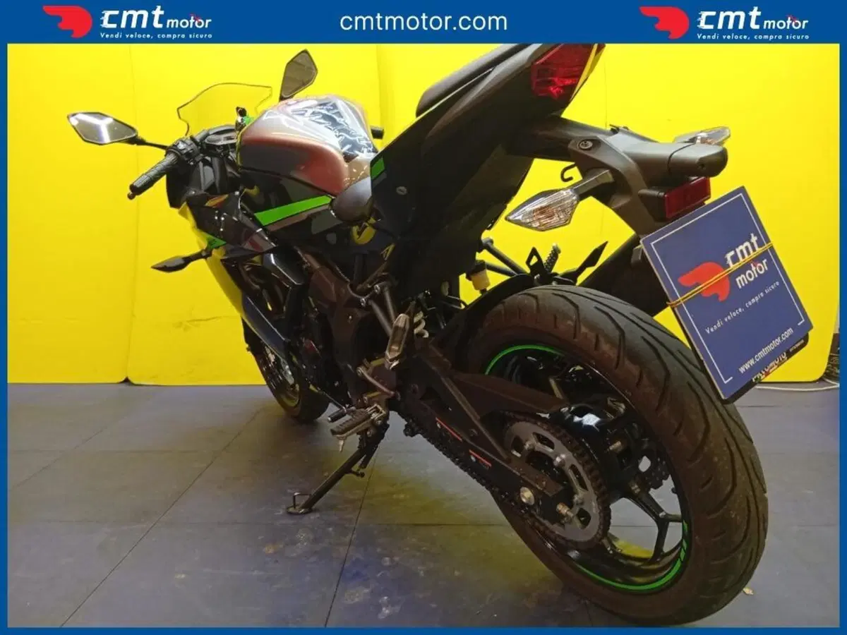 Kawasaki Ninja 125 (2021 - 24) (6)