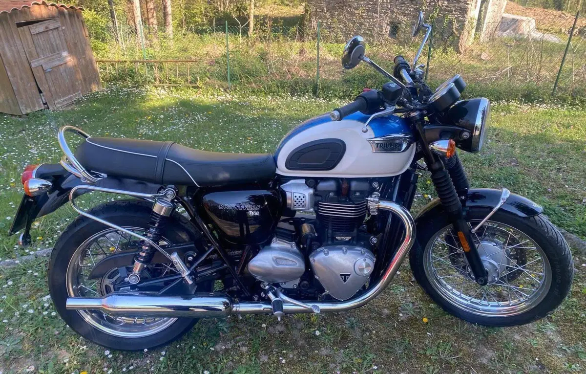 Triumph Bonneville T100 (2017 - 20) (3)