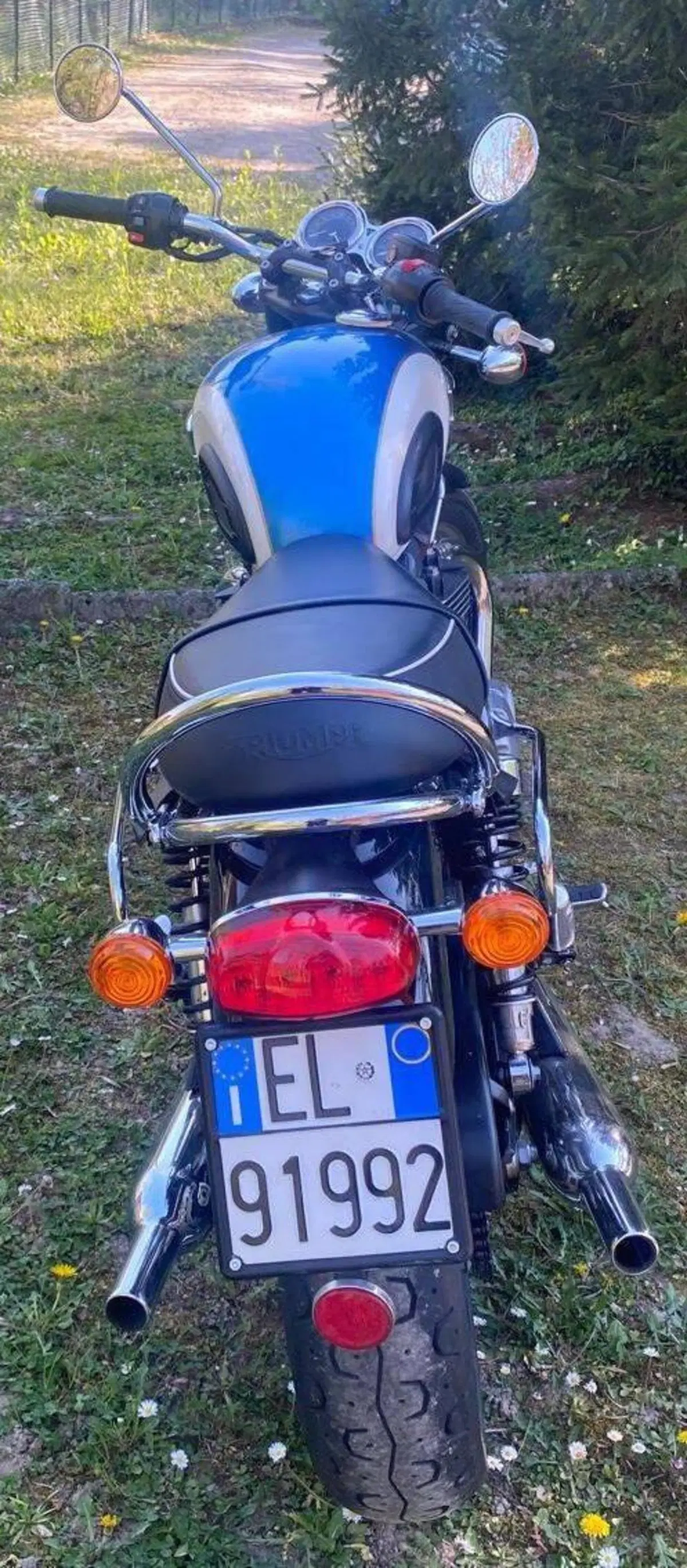 Triumph Bonneville T100 (2017 - 20) (6)