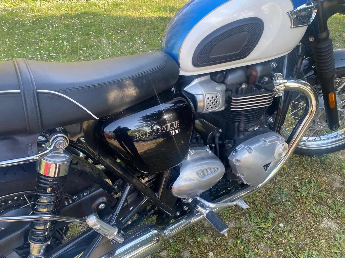 Triumph Bonneville T100 (2017 - 20) (9)