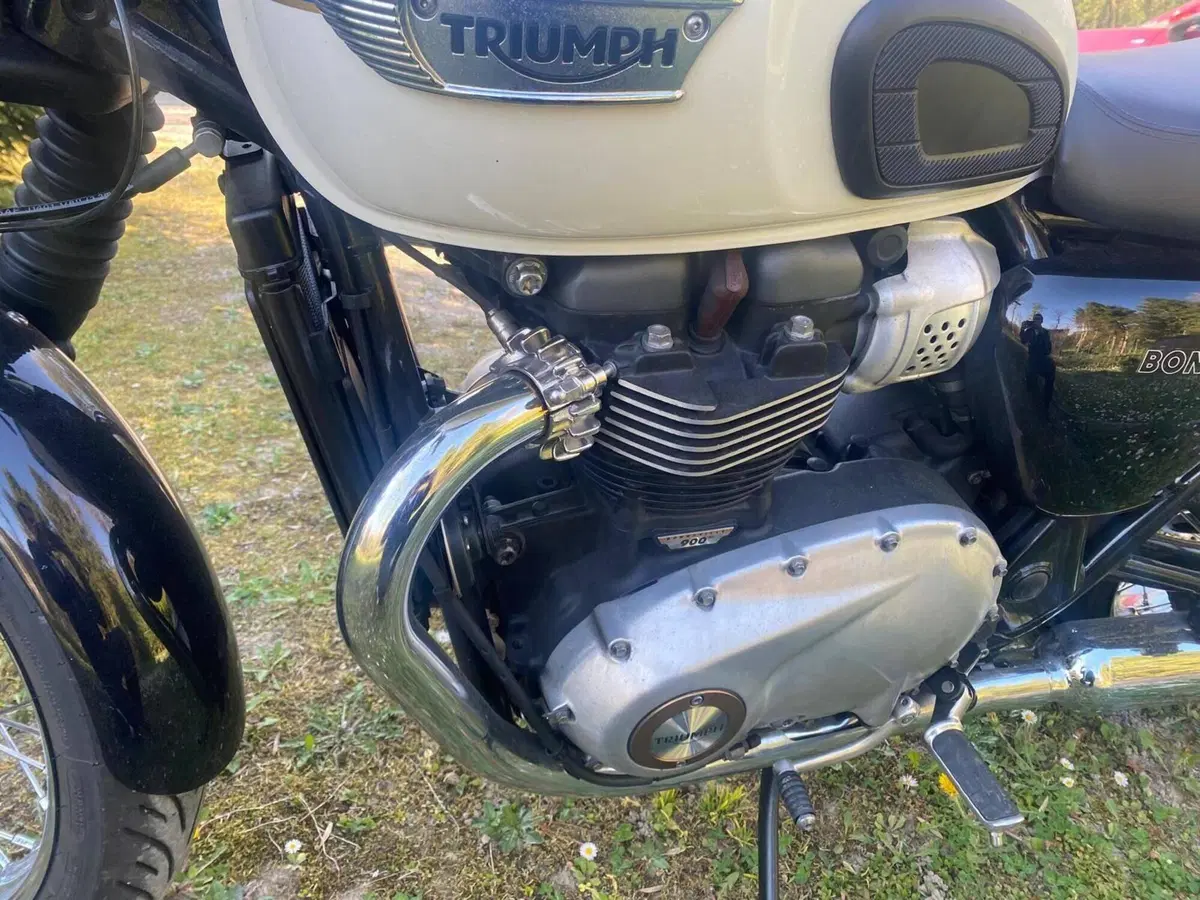 Triumph Bonneville T100 (2017 - 20) (10)