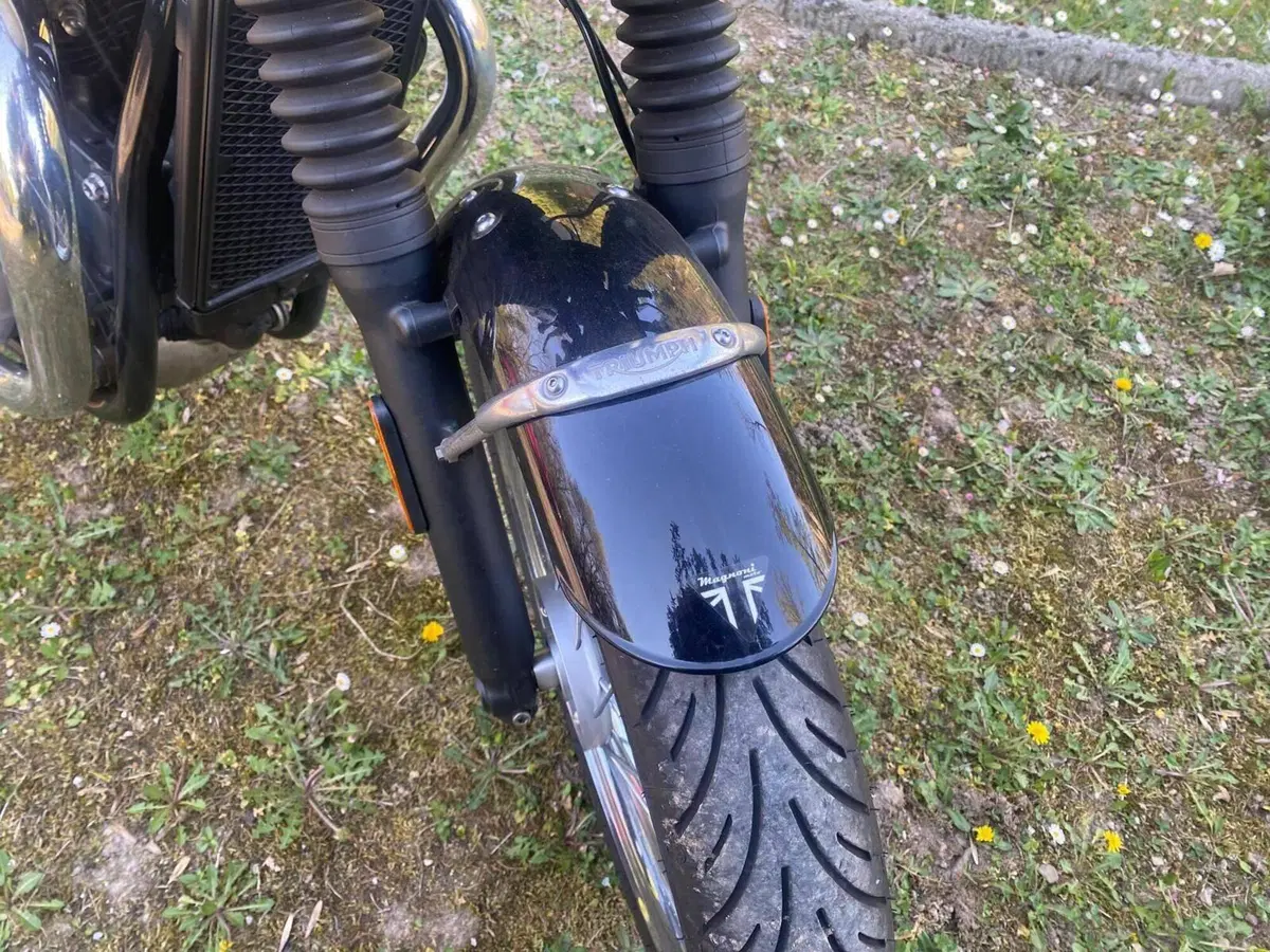 Triumph Bonneville T100 (2017 - 20) (11)