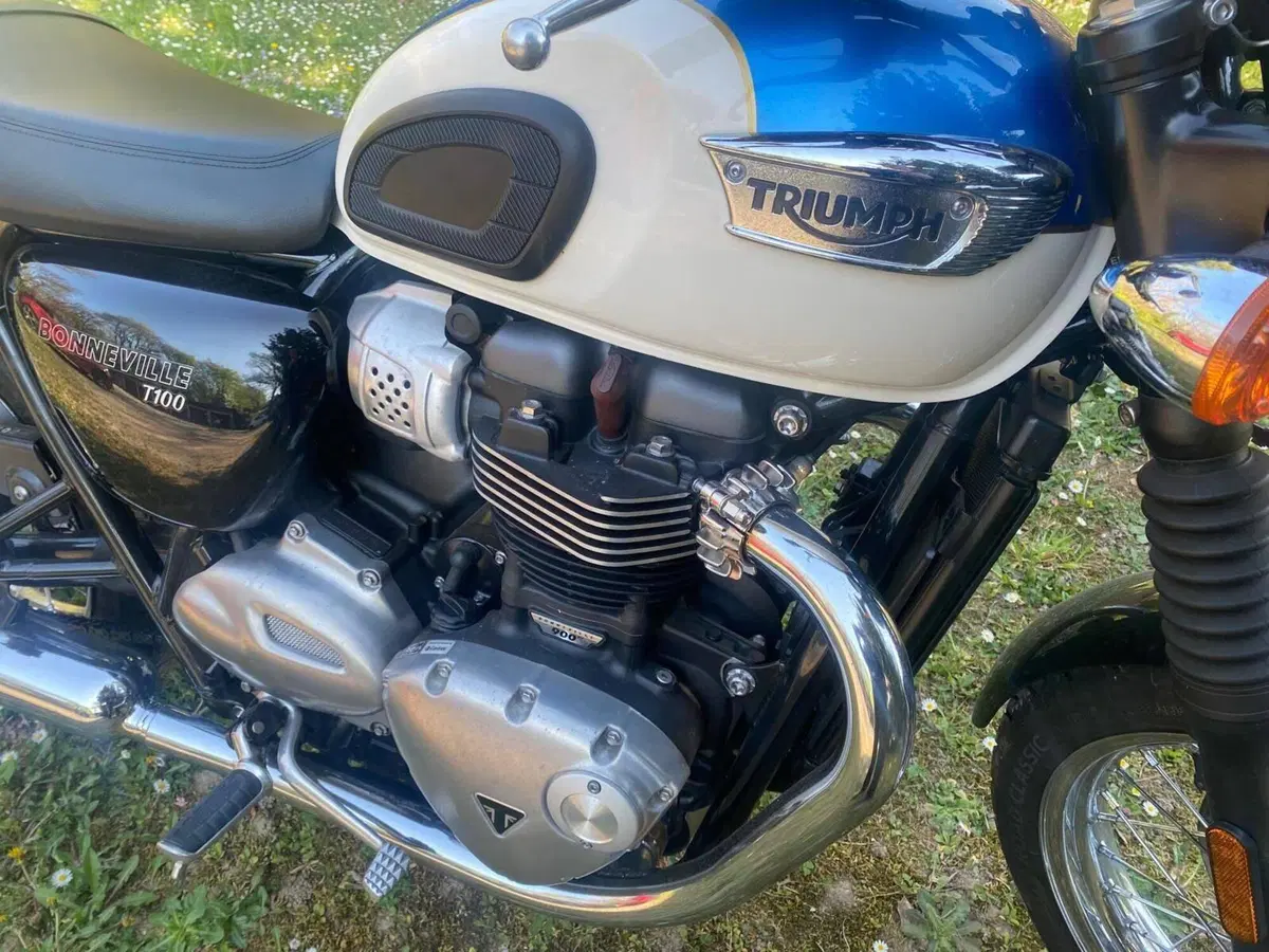 Triumph Bonneville T100 (2017 - 20) (12)