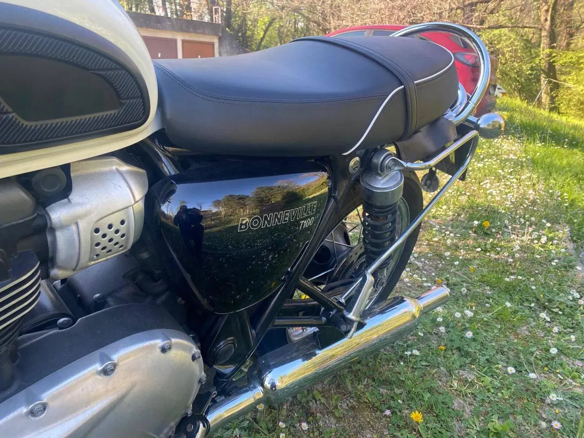 Triumph Bonneville T100 (2017 - 20) (14)
