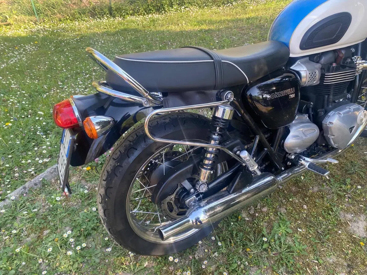 Triumph Bonneville T100 (2017 - 20) (16)