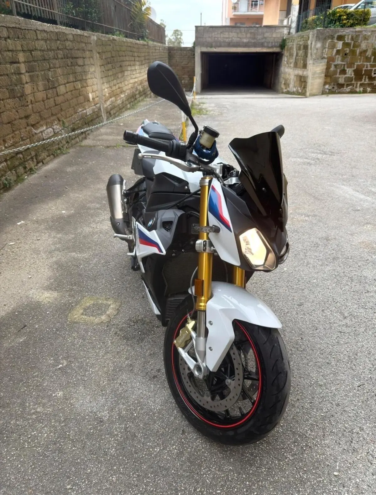 Bmw S 1000 R (2017 - 20) (3)