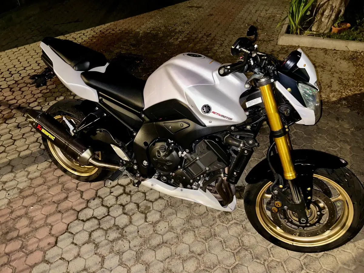 Yamaha FZ8 (2010 - 12) (3)