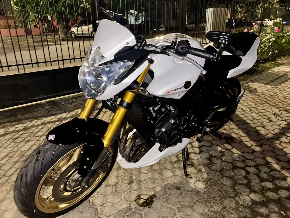 Yamaha FZ8 (2010 - 12) (4)