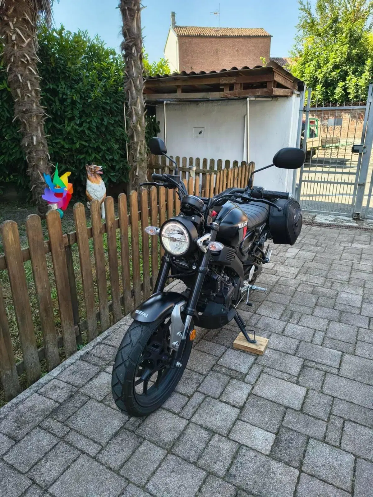 Yamaha XSR 125 (2021 - 24) (5)