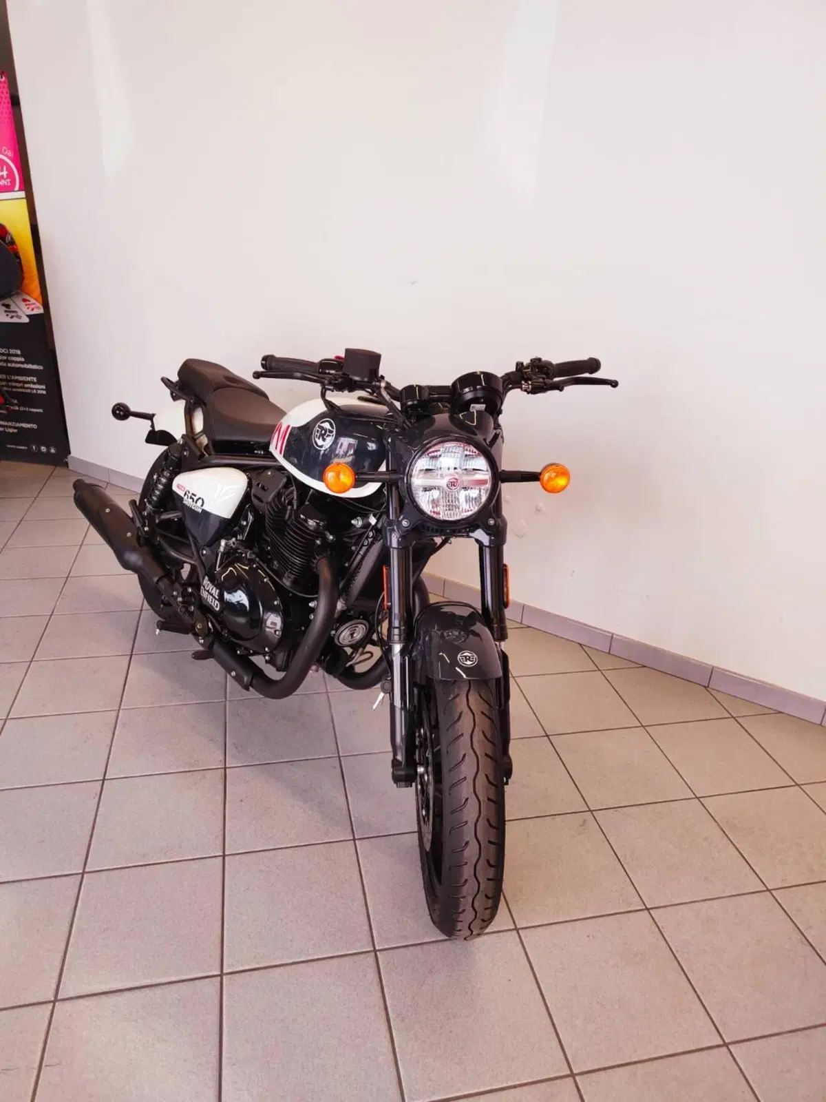 Royal Enfield Shotgun 650 (2024 - 26) (6)