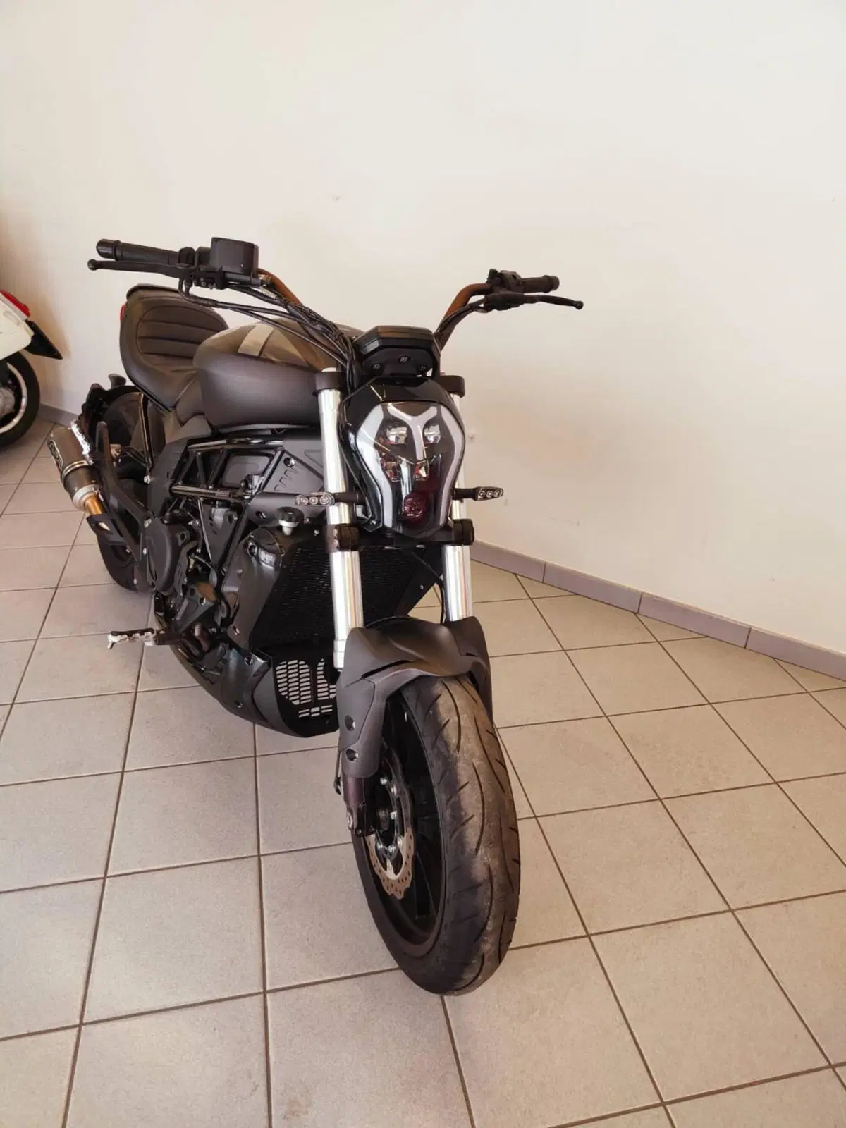 Benelli 502 C (2019 - 20) (6)