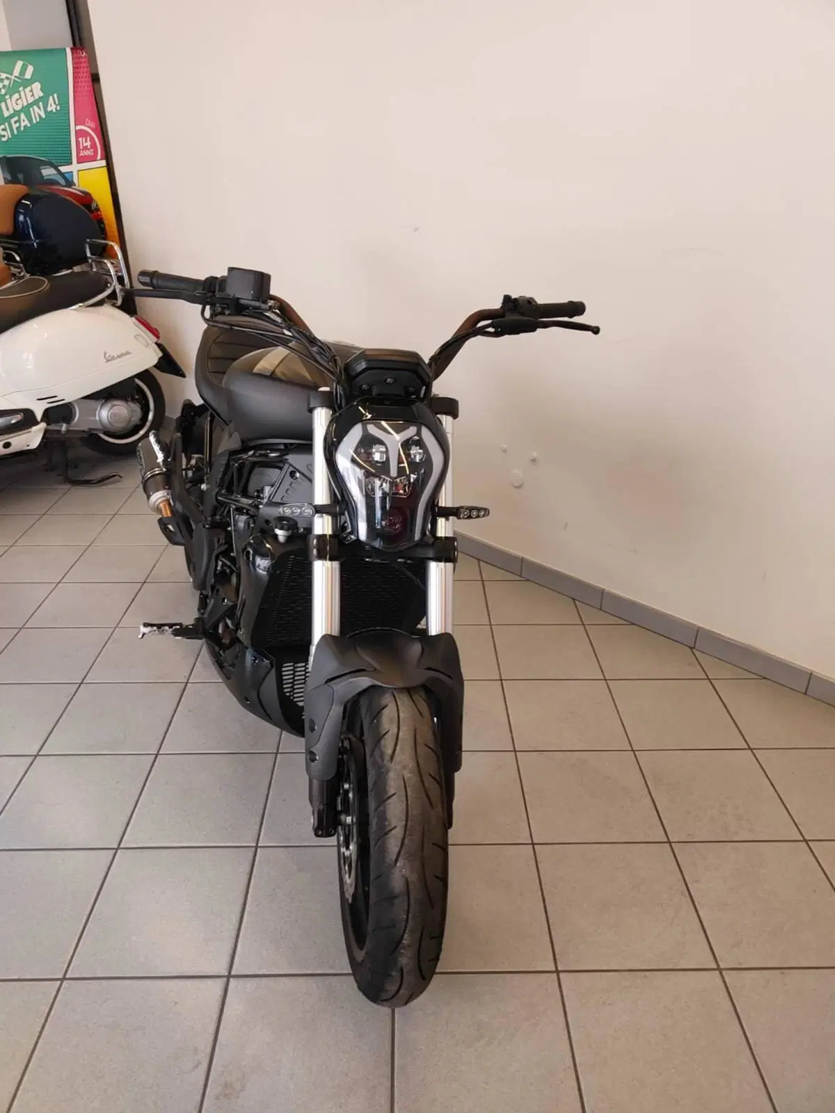 Benelli 502 C (2019 - 20) (17)