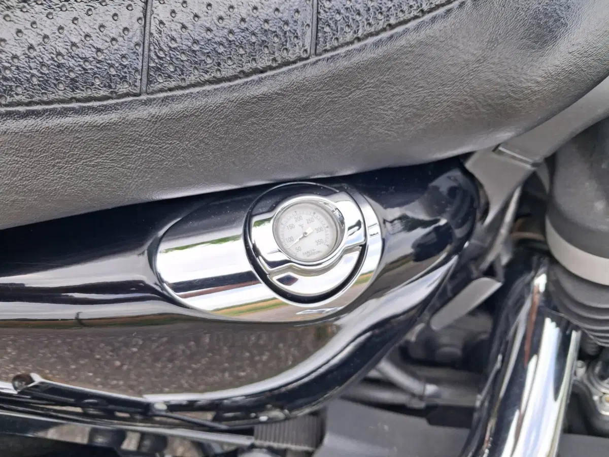 Harley-Davidson 883 R (2008 - 16) - XL 883R (9)