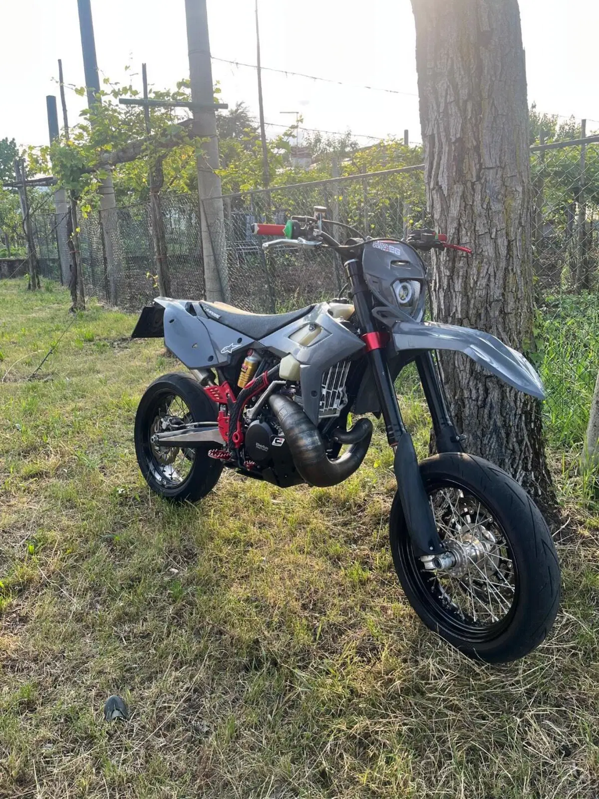 Betamotor RR 300 2T Enduro (2013) (7)