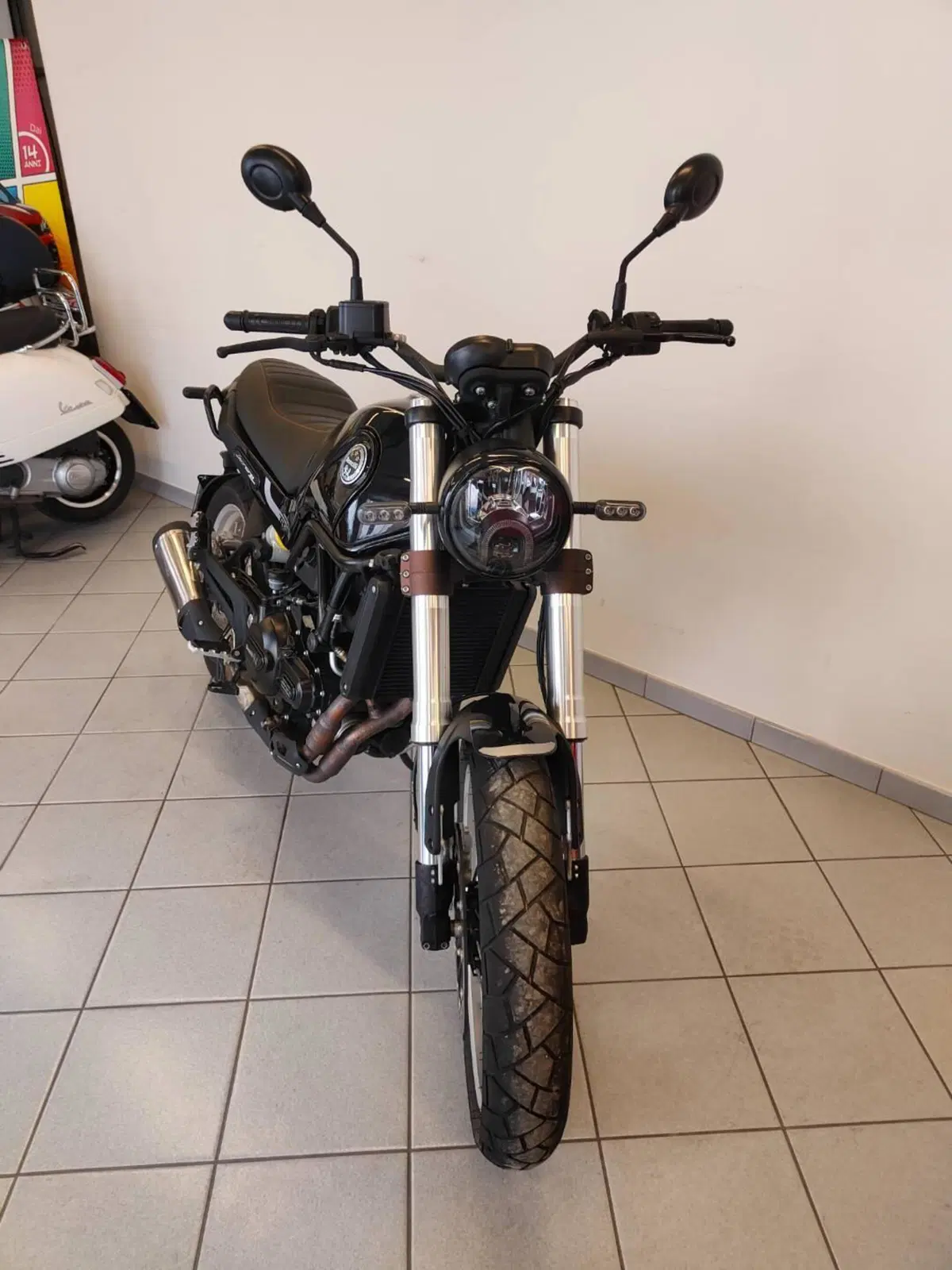 Benelli Leoncino 500 Trail (2021 - 26) (7)