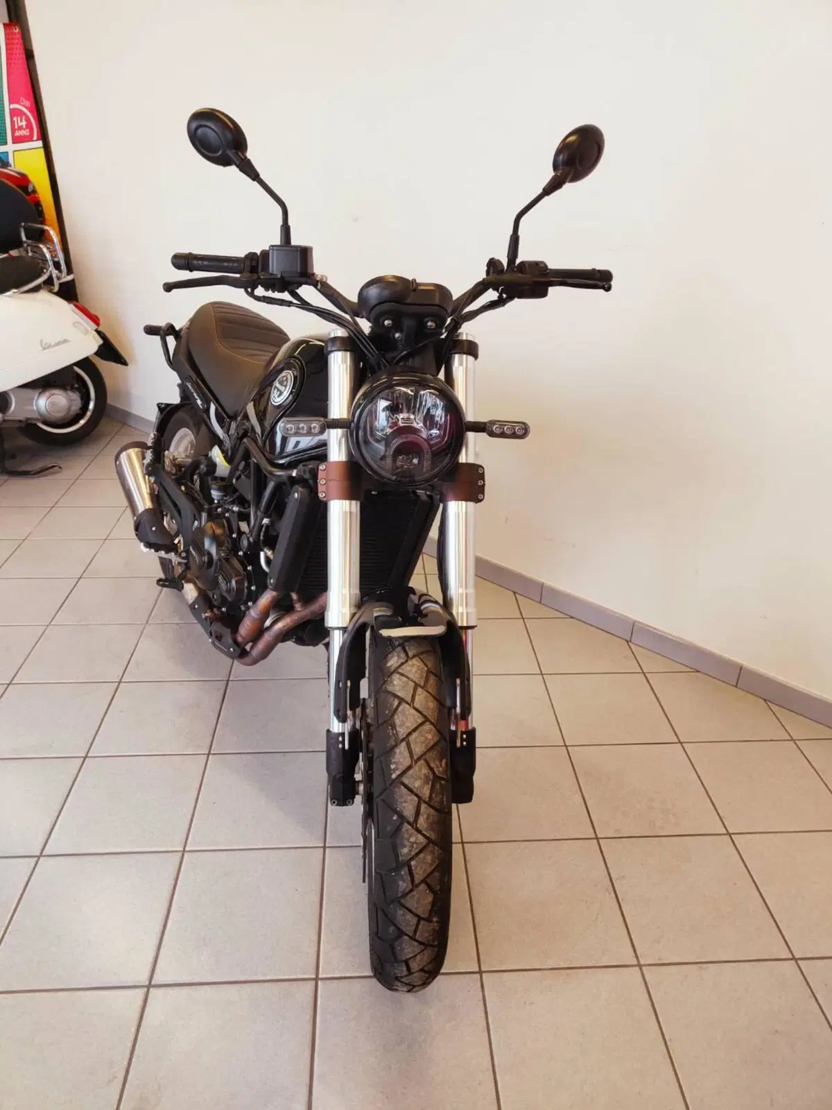 Benelli Leoncino 500 Trail (2021 - 26) (18)