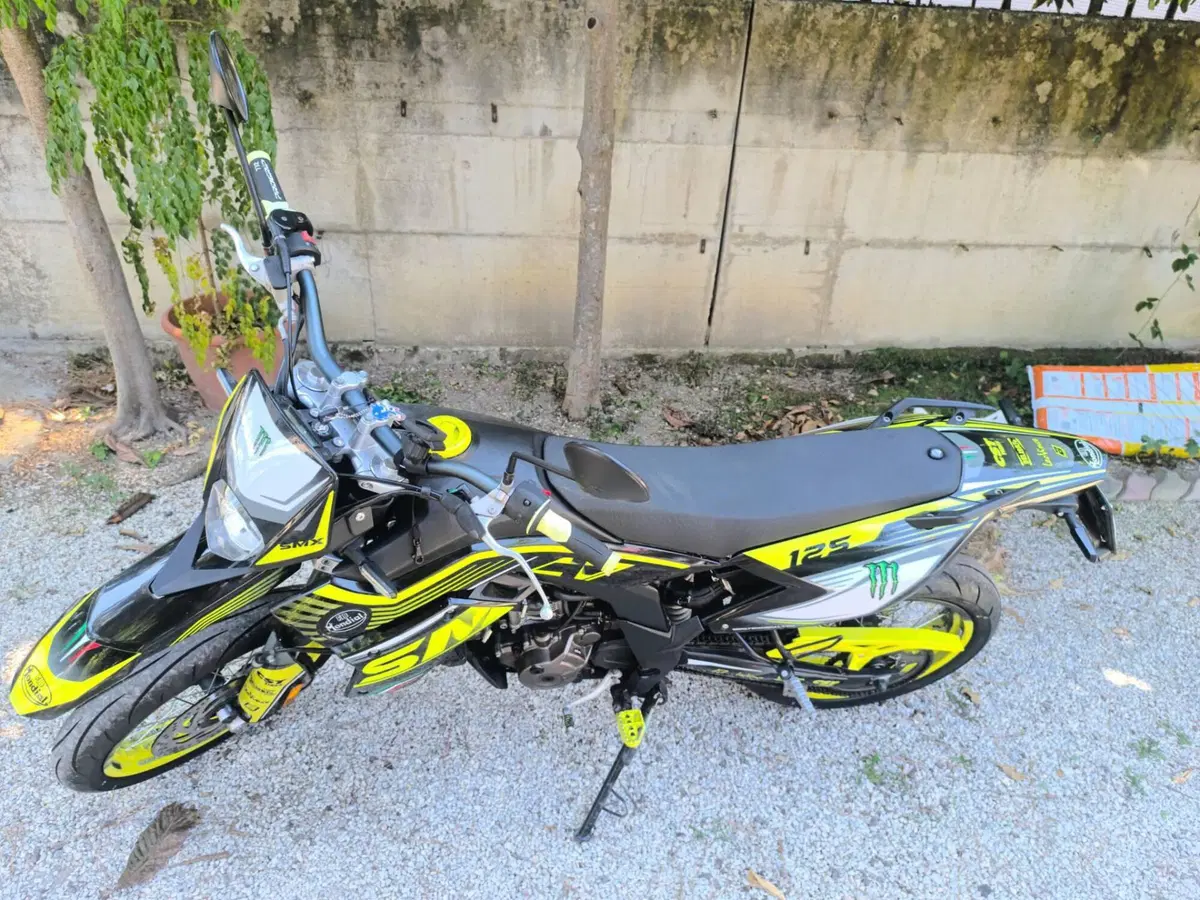 FB Mondial SMX 125 Motard (2021 - 24) (4)