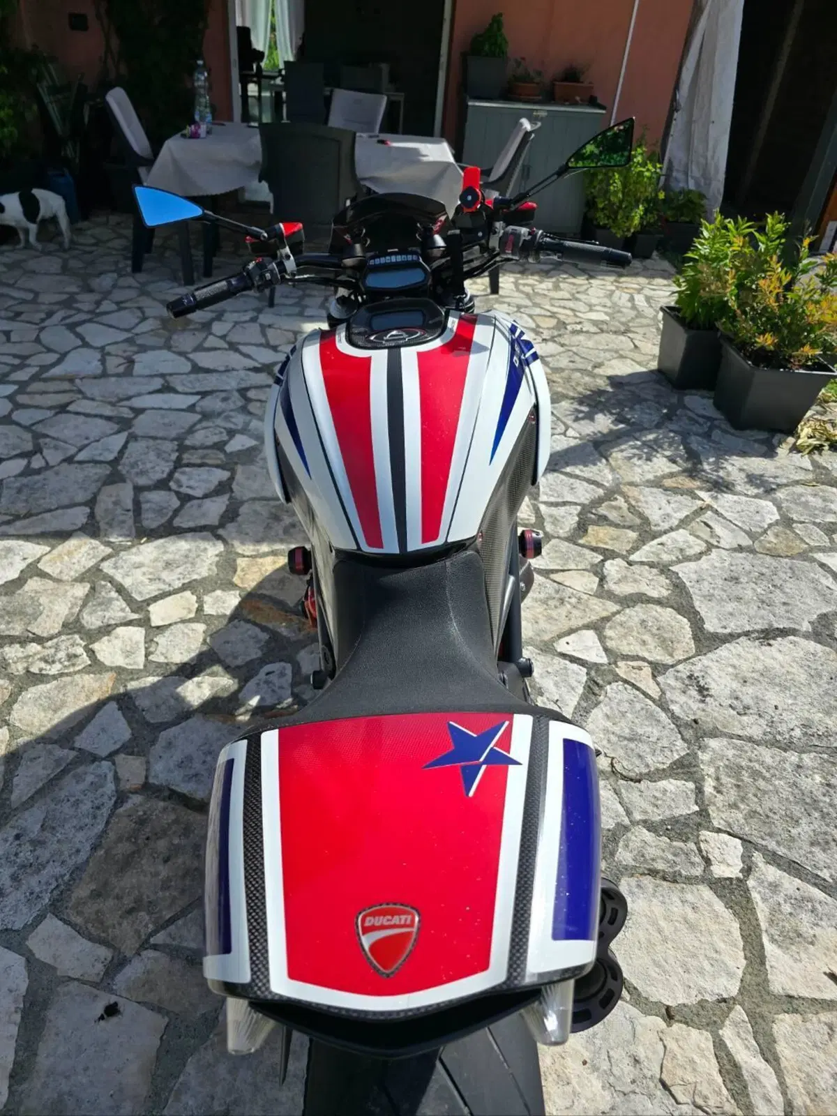 Ducati Diavel 1200 Carbon (2010 - 13) (3)