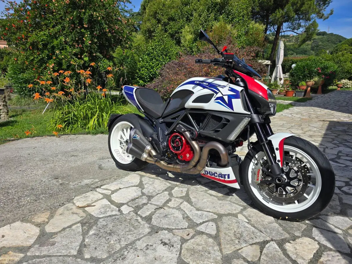 Ducati Diavel 1200 Carbon (2010 - 13) (10)