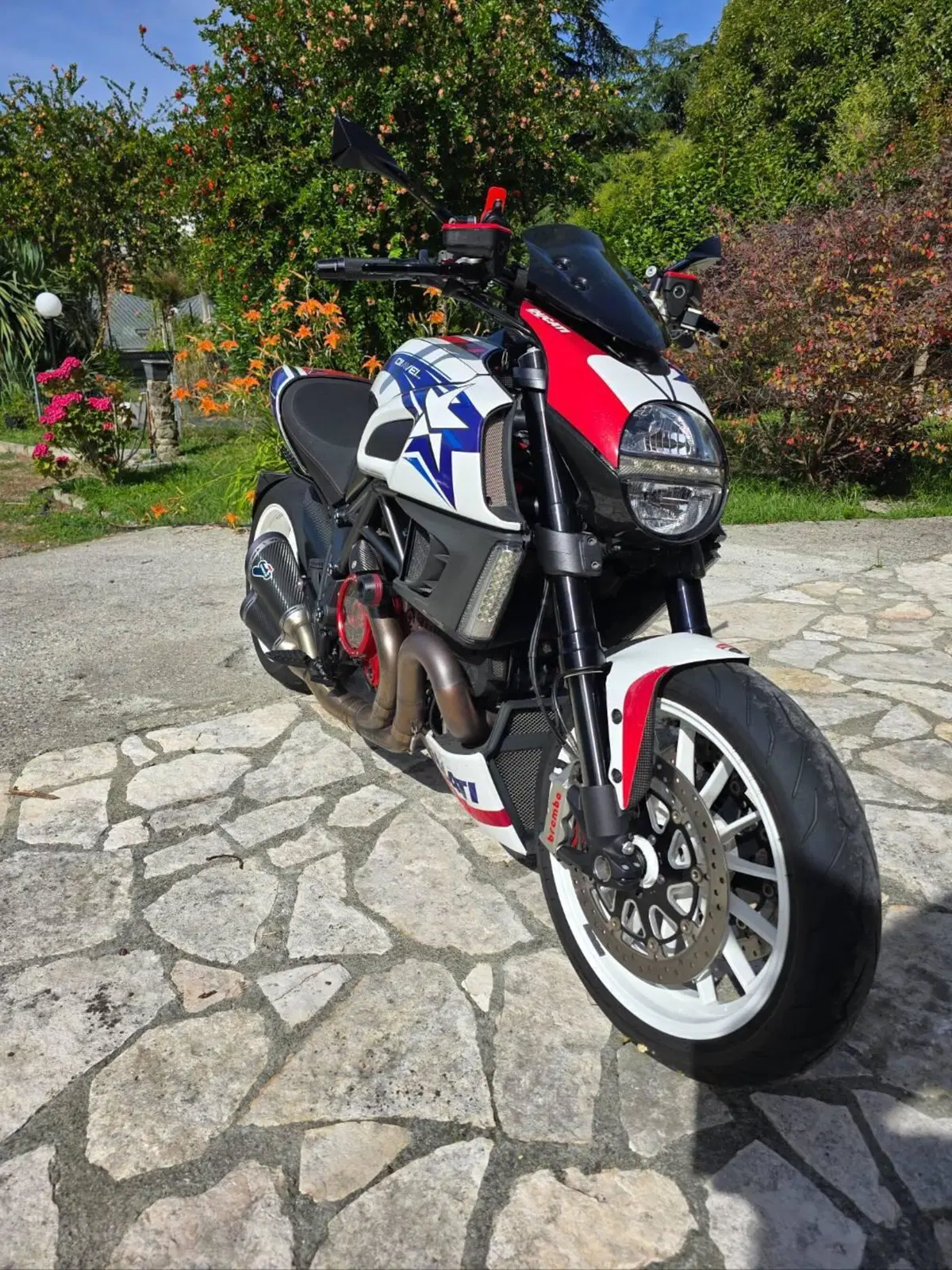 Ducati Diavel 1200 Carbon (2010 - 13) (2)