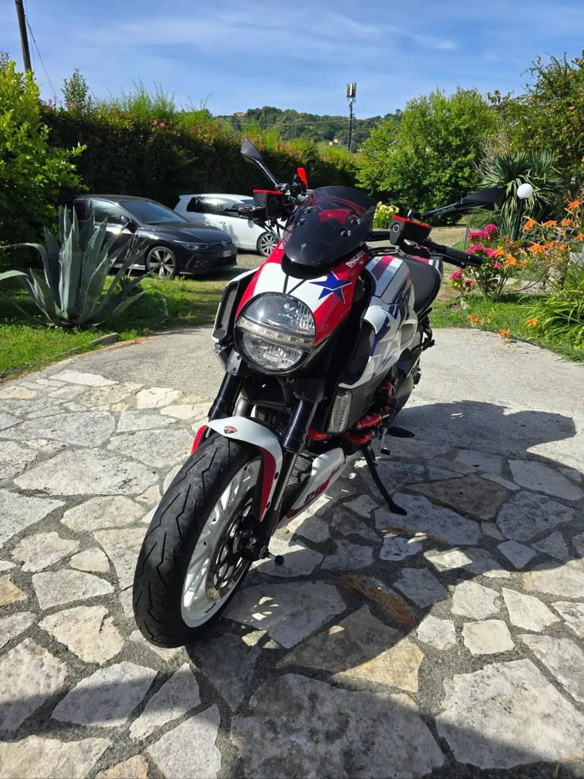 Ducati Diavel 1200 Carbon (2010 - 13) (11)