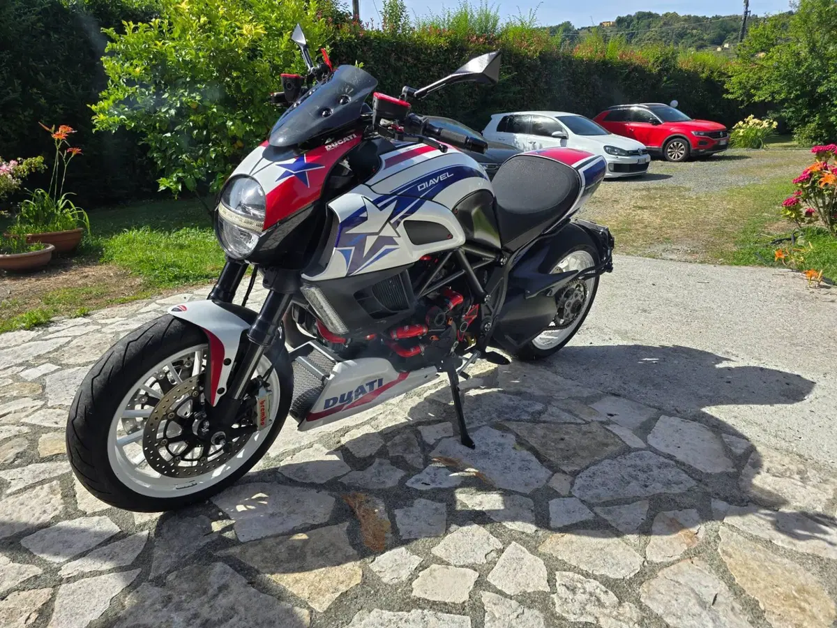 Ducati Diavel 1200 Carbon (2010 - 13) (12)