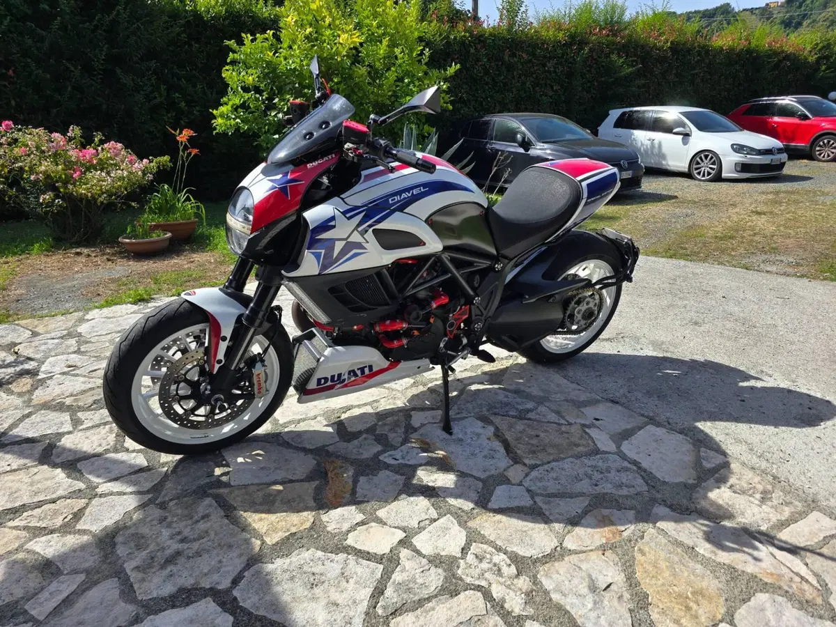 Ducati Diavel 1200 Carbon (2010 - 13) (13)