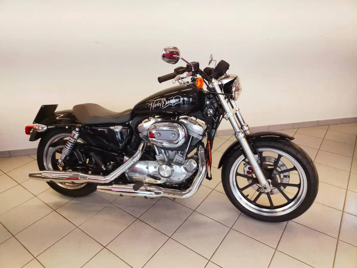 Harley-Davidson 883 Low (2008 - 12) - XL 883L (2)