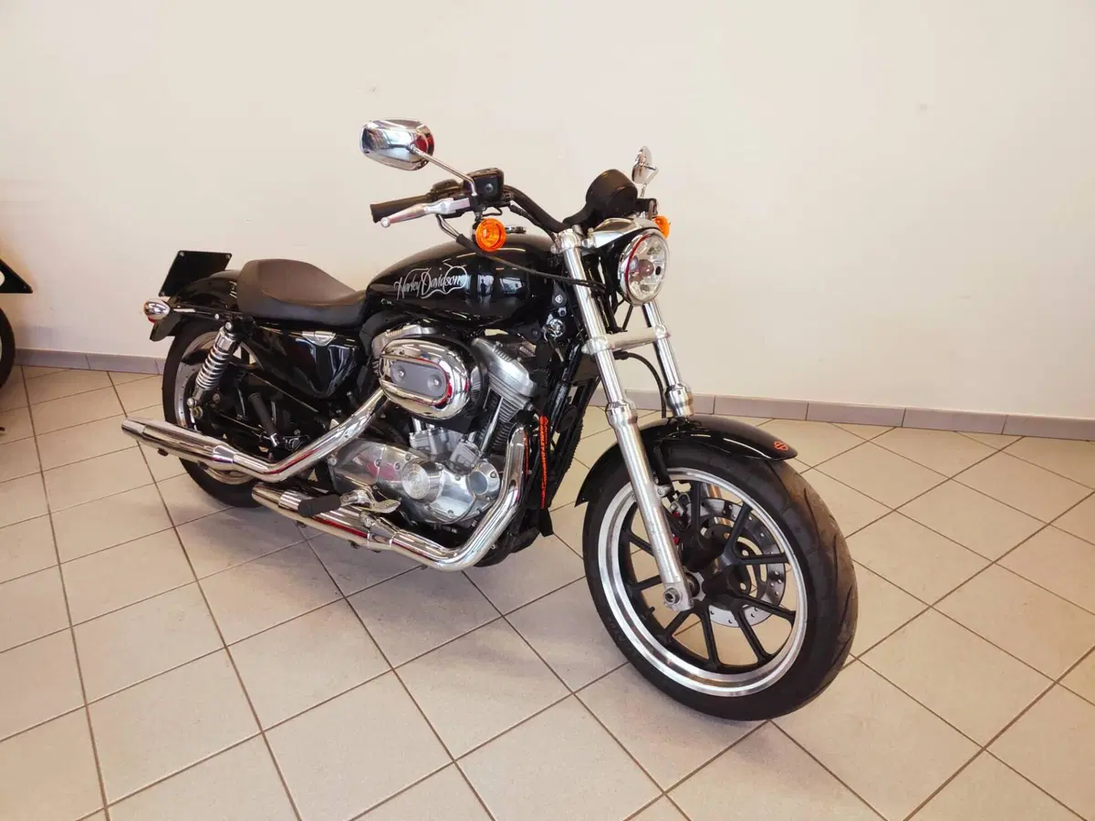 Harley-Davidson 883 Low (2008 - 12) - XL 883L (4)