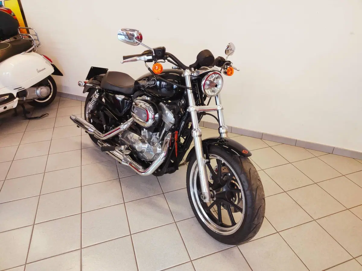 Harley-Davidson 883 Low (2008 - 12) - XL 883L (5)