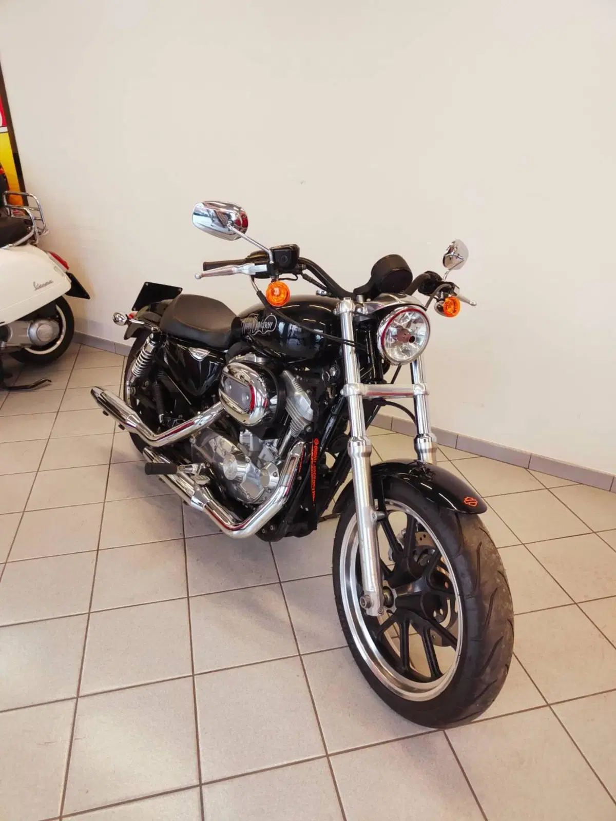 Harley-Davidson 883 Low (2008 - 12) - XL 883L (6)