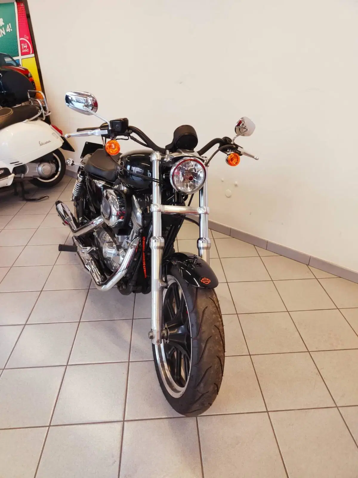 Harley-Davidson 883 Low (2008 - 12) - XL 883L (7)