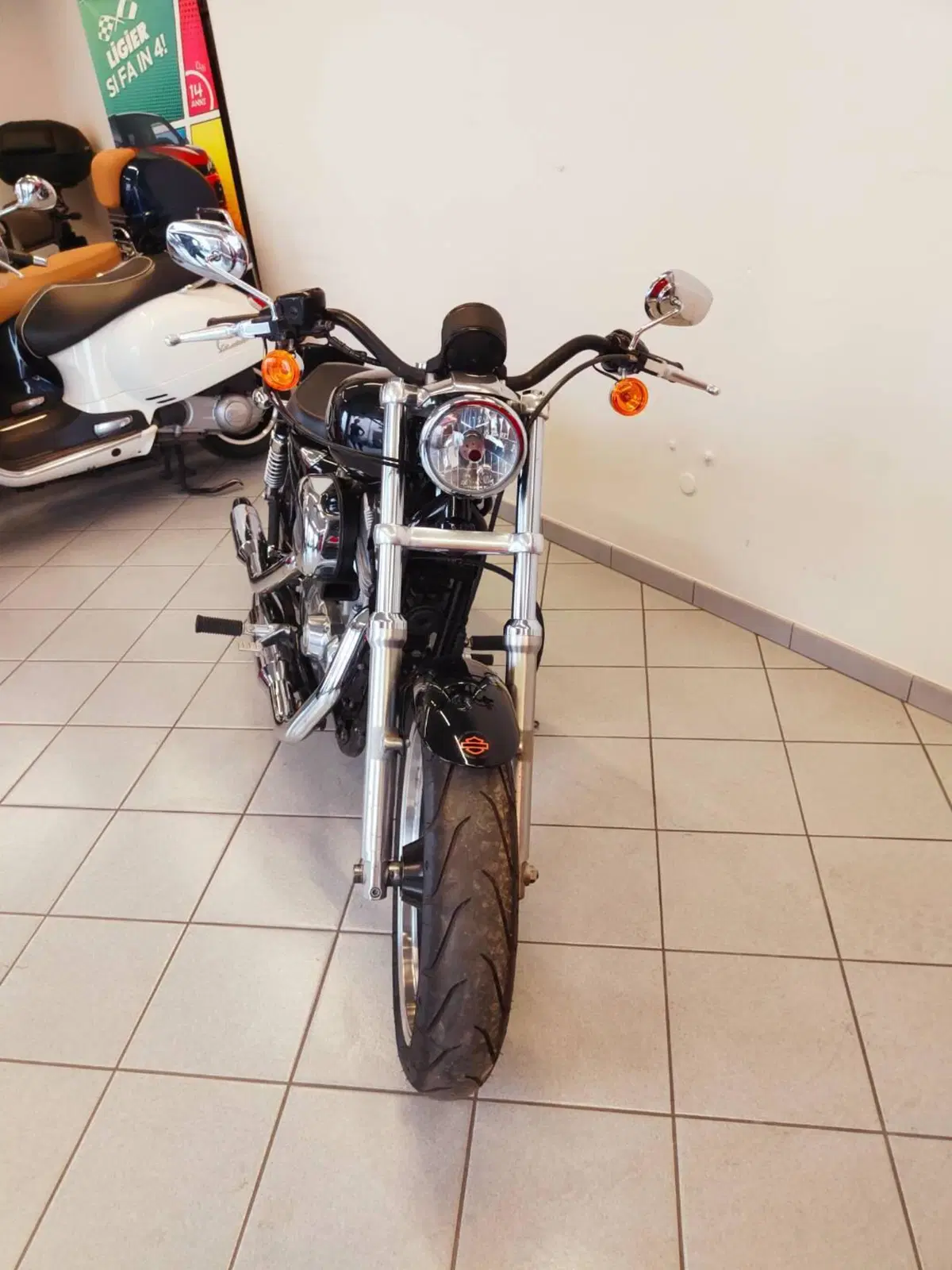 Harley-Davidson 883 Low (2008 - 12) - XL 883L (8)