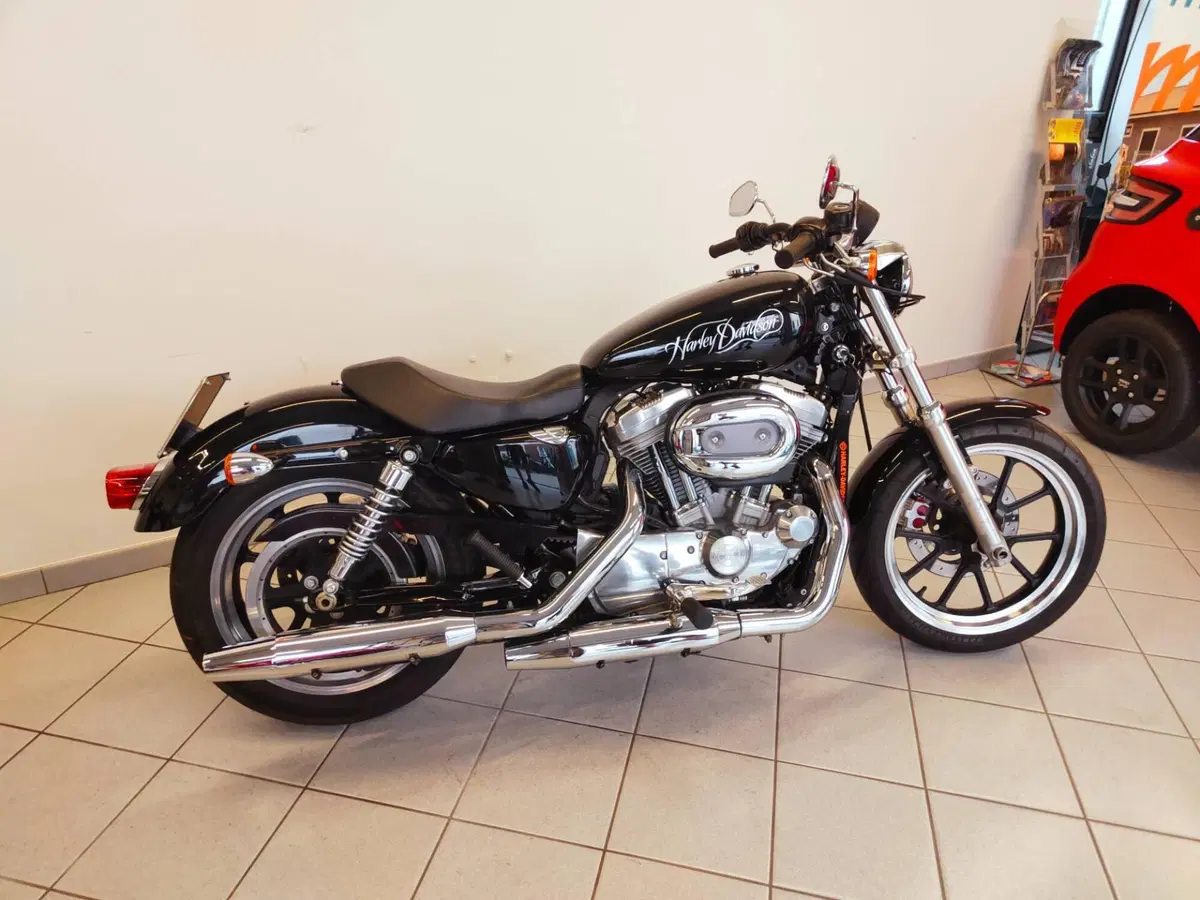 Harley-Davidson 883 Low (2008 - 12) - XL 883L (10)