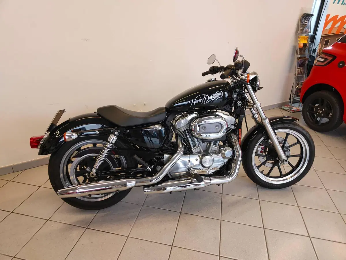 Harley-Davidson 883 Low (2008 - 12) - XL 883L (11)