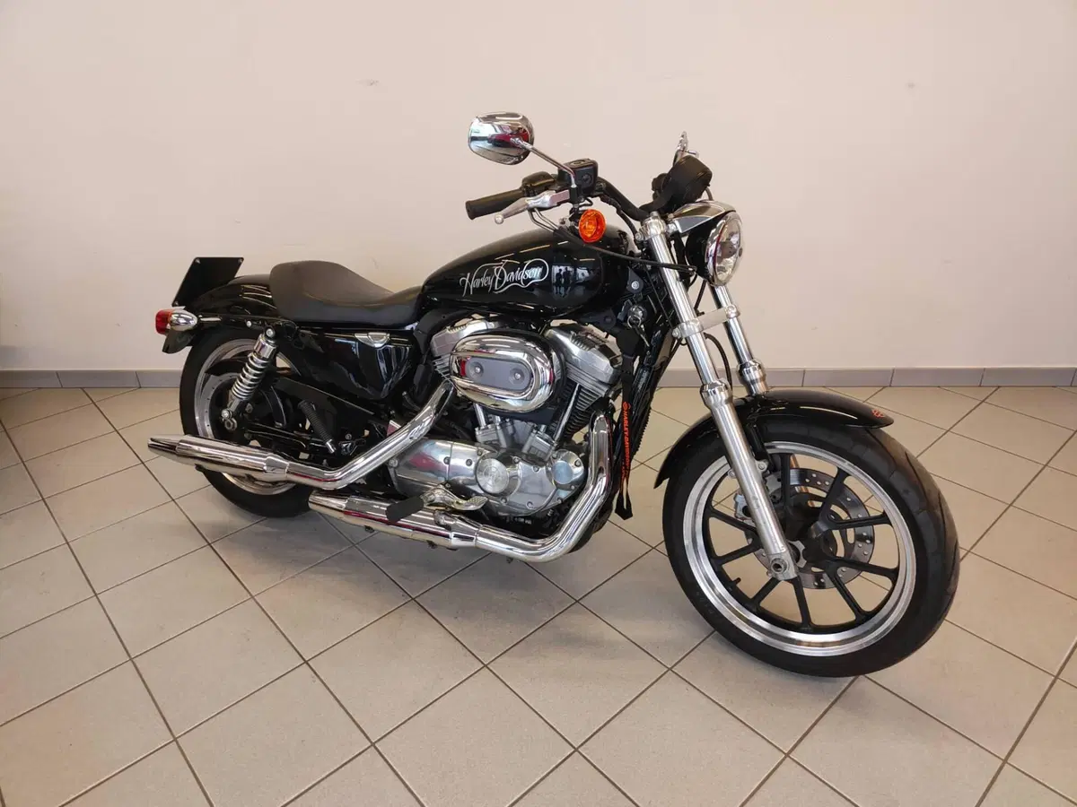 Harley-Davidson 883 Low (2008 - 12) - XL 883L (13)