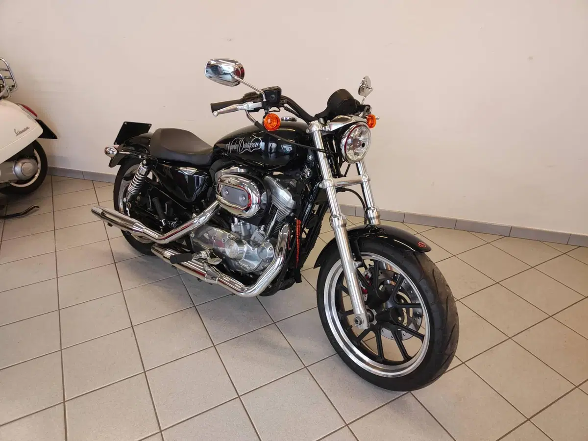 Harley-Davidson 883 Low (2008 - 12) - XL 883L (14)