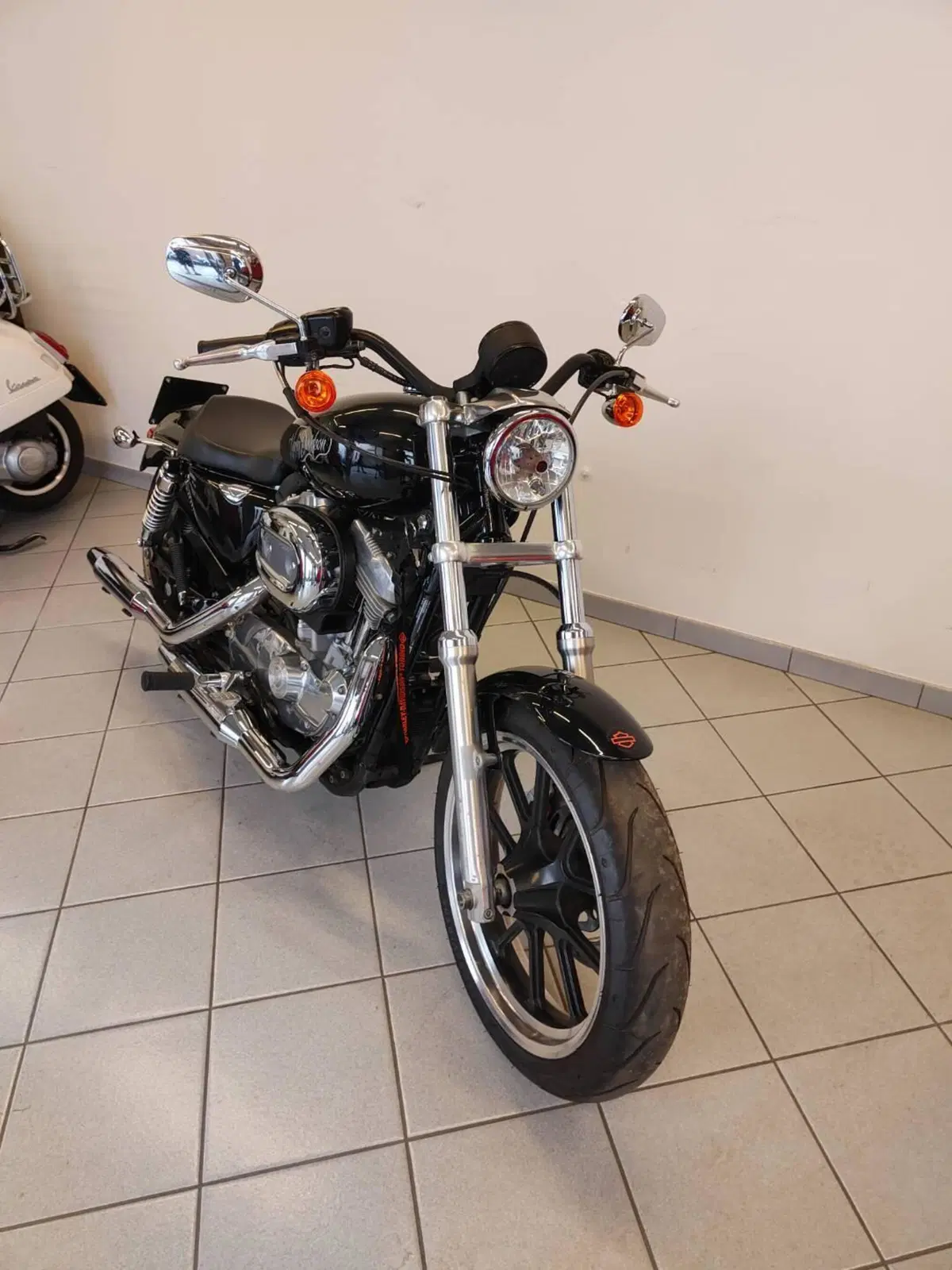 Harley-Davidson 883 Low (2008 - 12) - XL 883L (16)