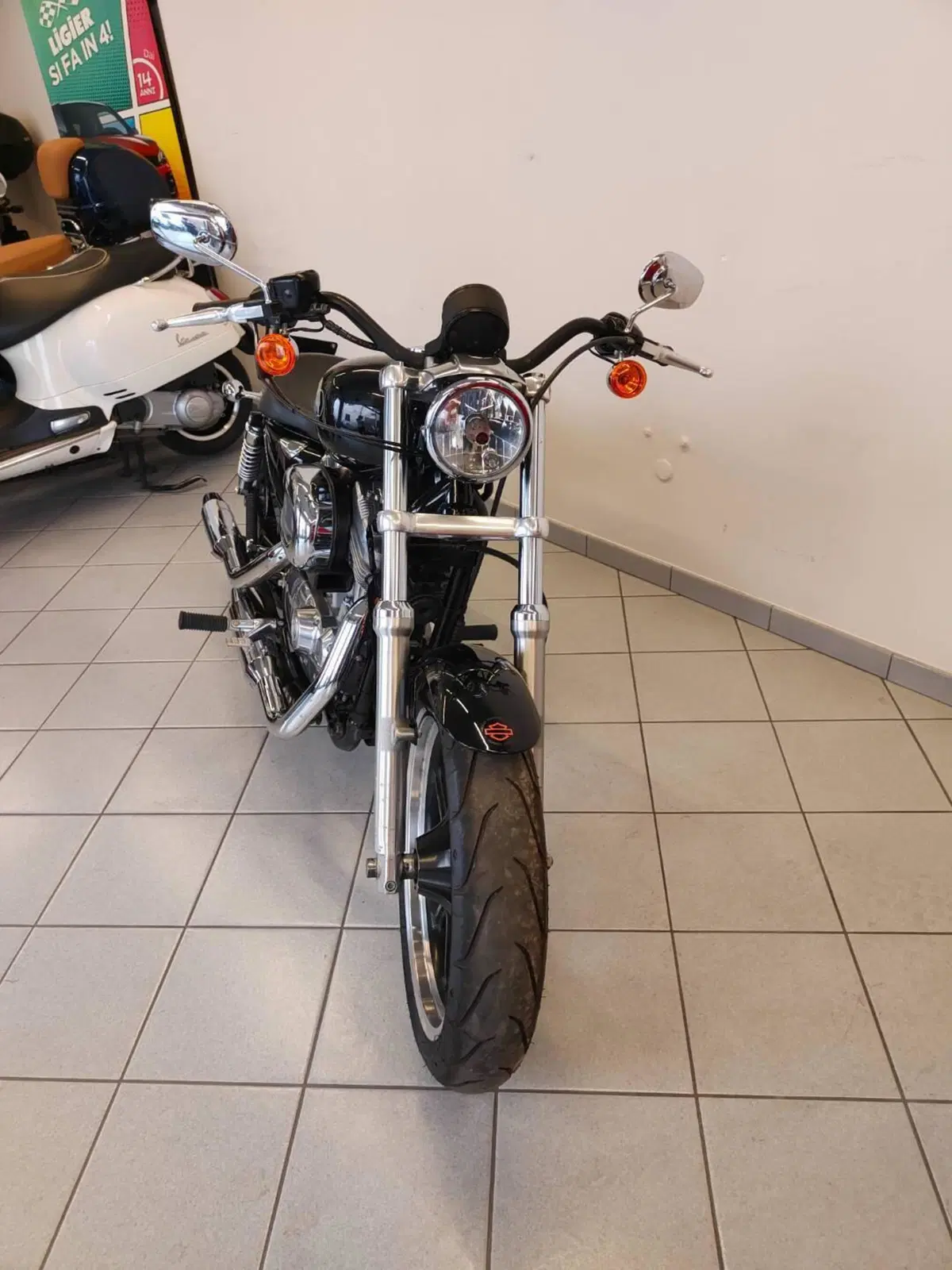Harley-Davidson 883 Low (2008 - 12) - XL 883L (17)