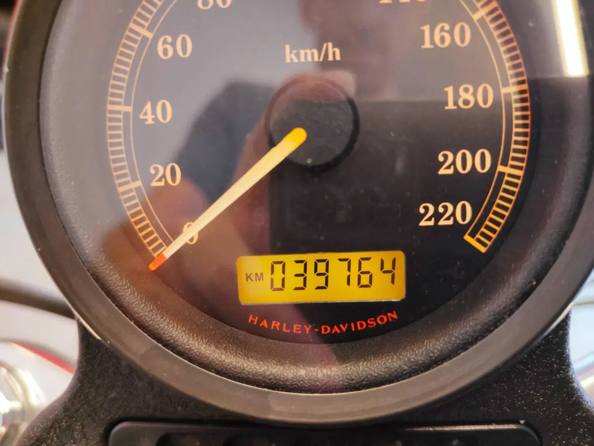 Harley-Davidson 883 Low (2008 - 12) - XL 883L (18)