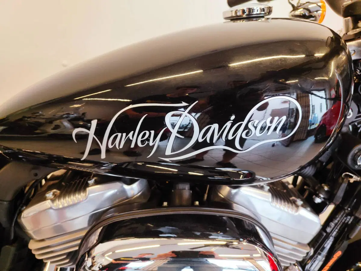 Harley-Davidson 883 Low (2008 - 12) - XL 883L (19)