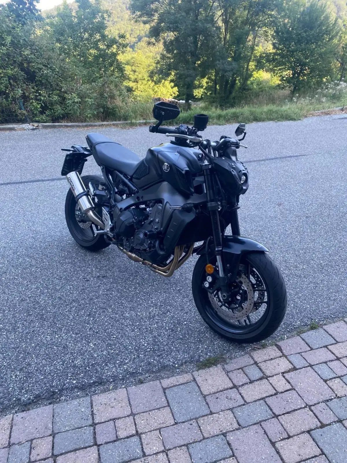 Yamaha MT-09 (2021 - 23) (5)