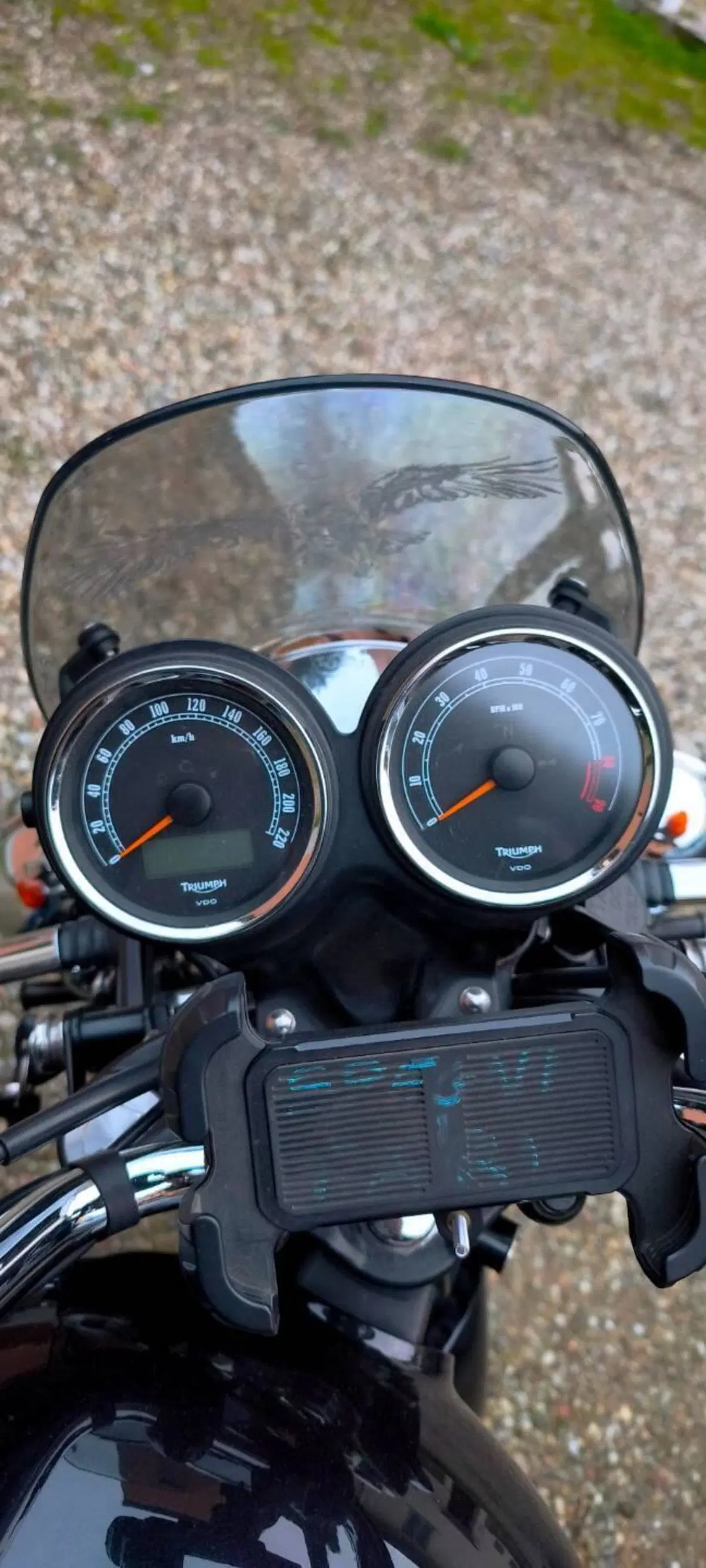 Triumph Bonneville SE (2009 - 13) (6)