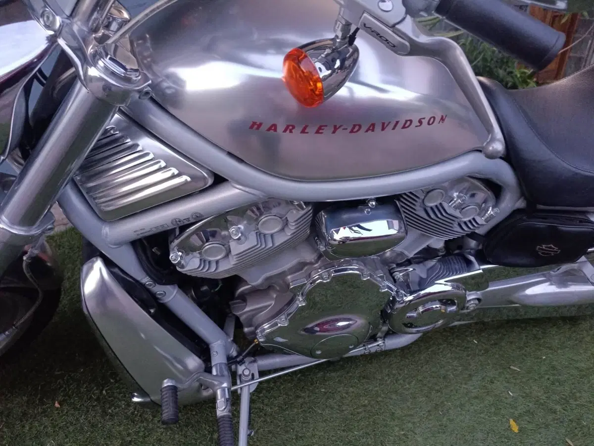 Harley-Davidson VRSCA (3)