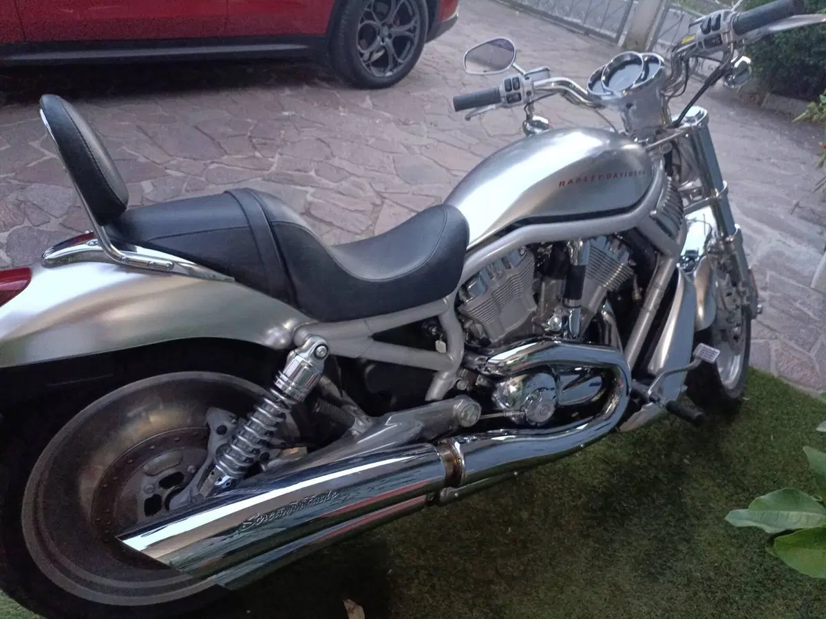Harley-Davidson VRSCA (5)