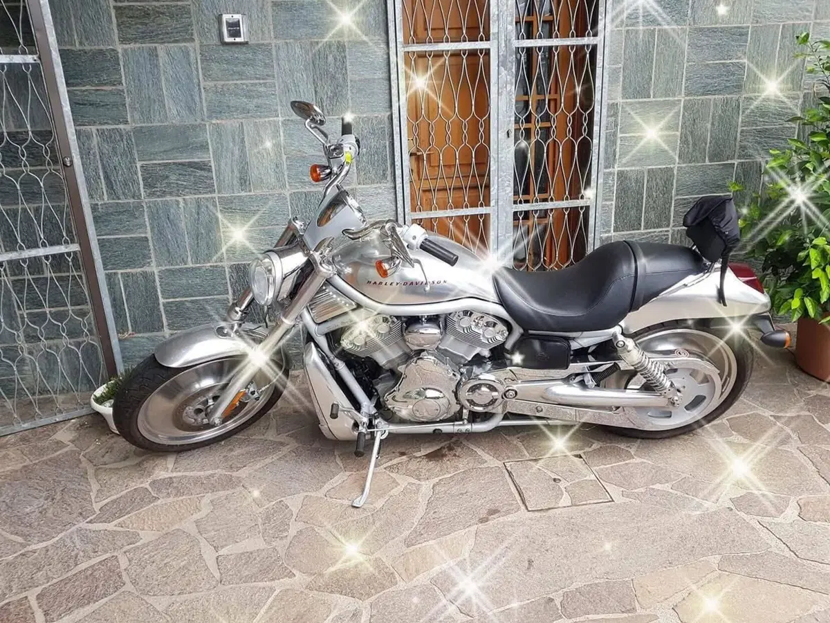 Harley-Davidson VRSCA (6)