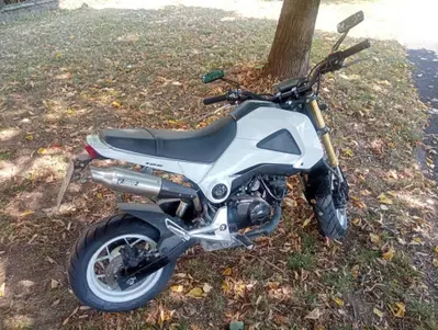 Honda MSX 125 (2013 - 15) usata