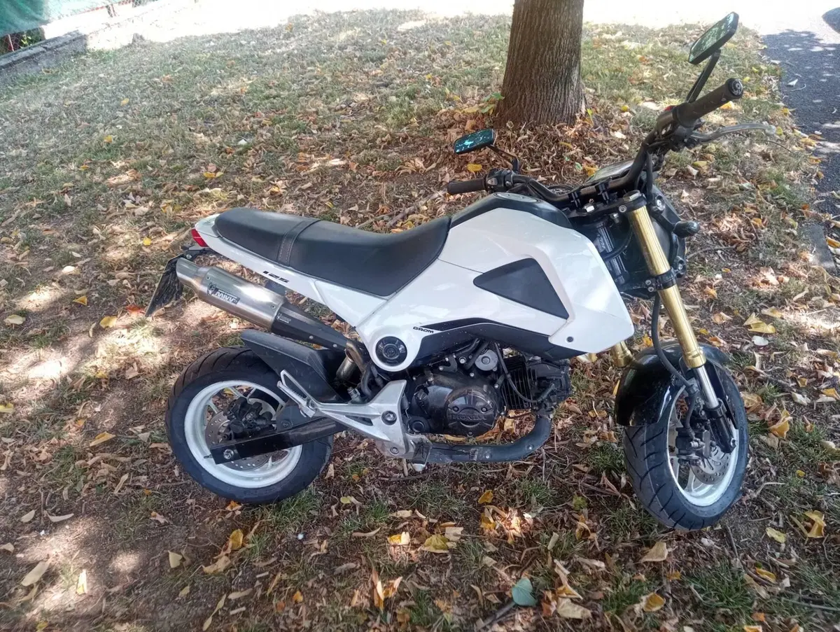Honda MSX 125 (2013 - 15) (2)